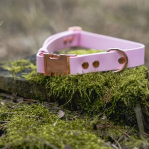 Obroża na klamrę BioThane® – Blush