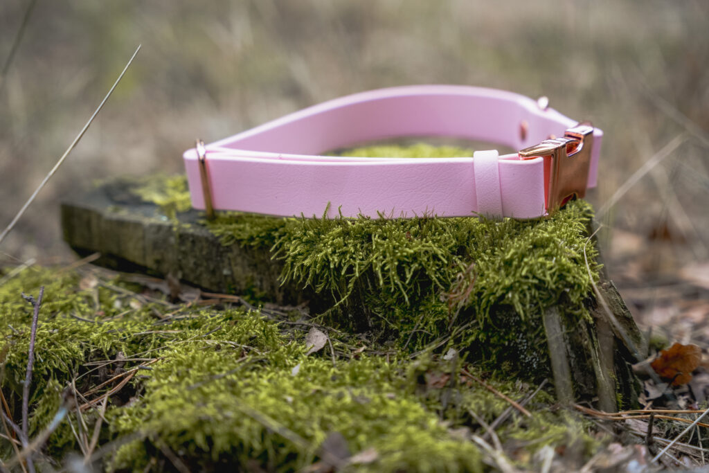 Obroża na klamrę BioThane® – Blush