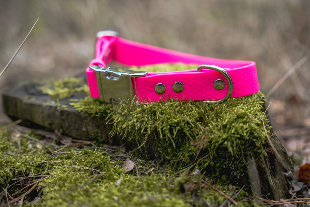 Obroża na klamrę HEXA – Flamingo