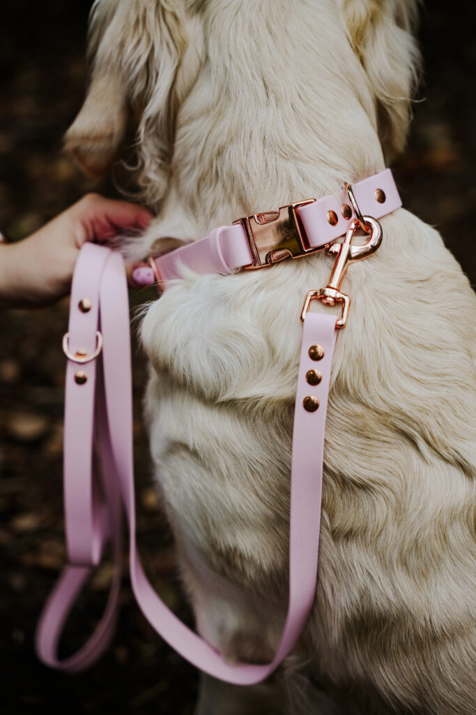 Smycz miejska BioThane® – Blush