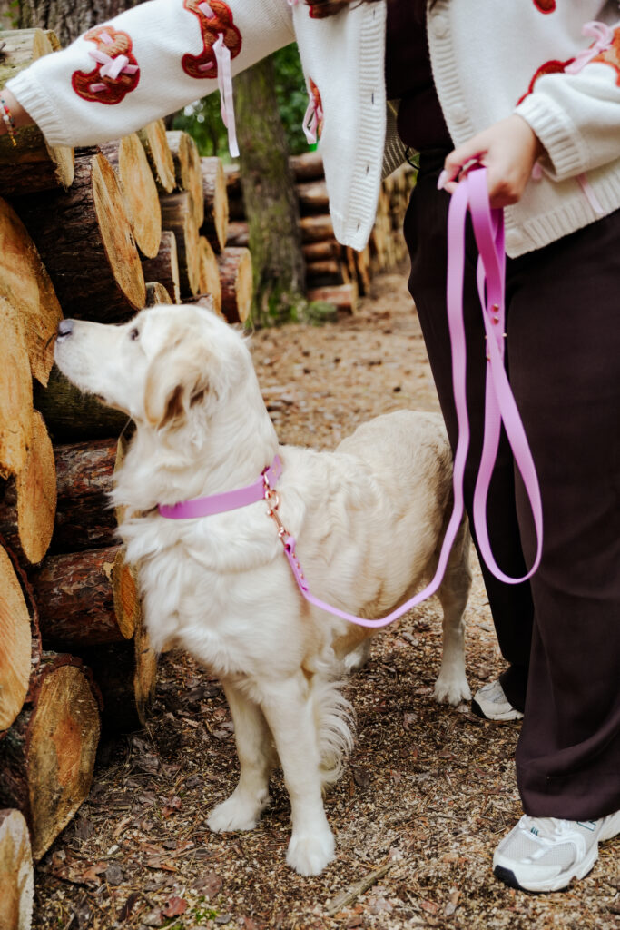 Smycz przepinana HEXA – Lilac