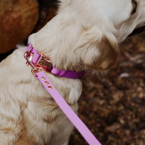 Linka treningowa HEXA – Lilac