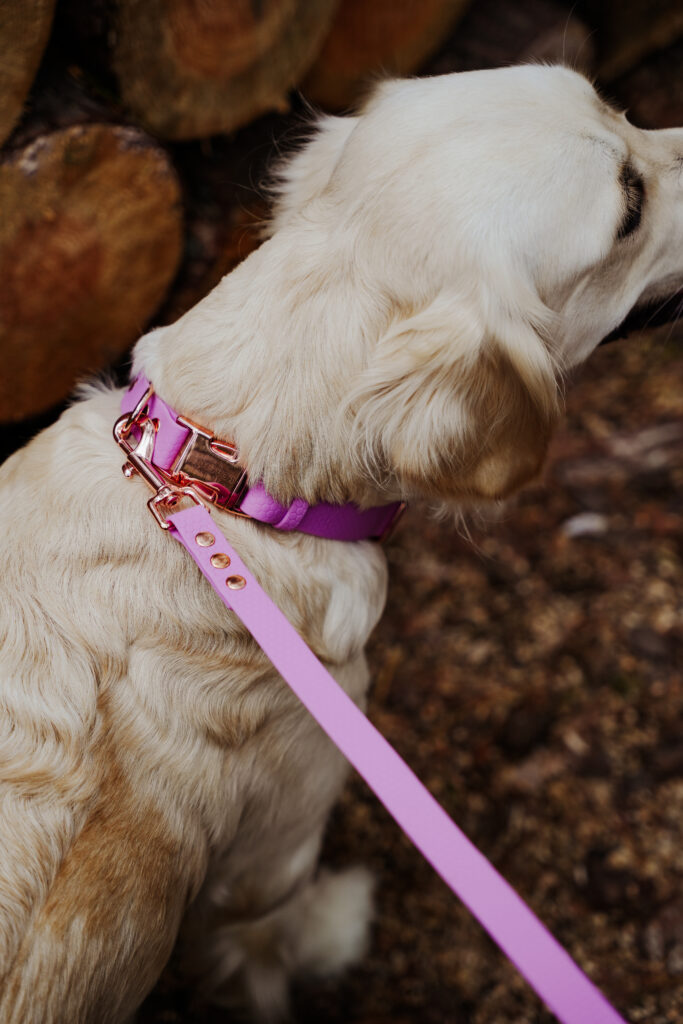 Linka treningowa HEXA – Lilac