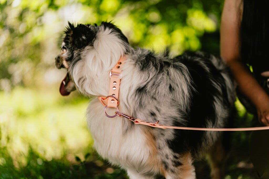 Linka treningowa BioThane® – Peach
