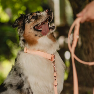 Linka treningowa BioThane® – Peach