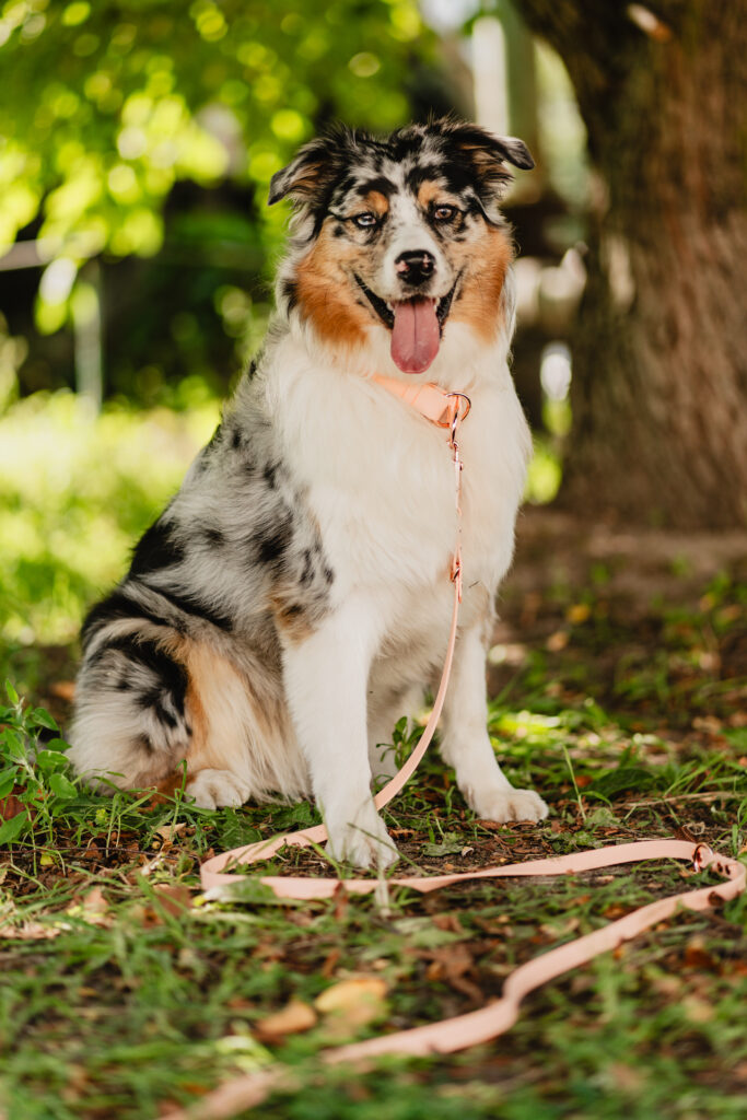 Linka treningowa BioThane® – Peach