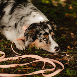 Linka treningowa BioThane® – Peach