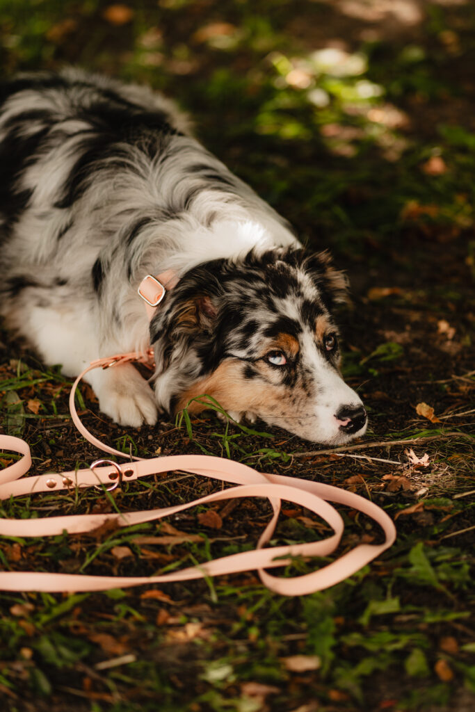 Linka treningowa BioThane® – Peach