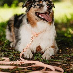 Linka treningowa BioThane® – Peach