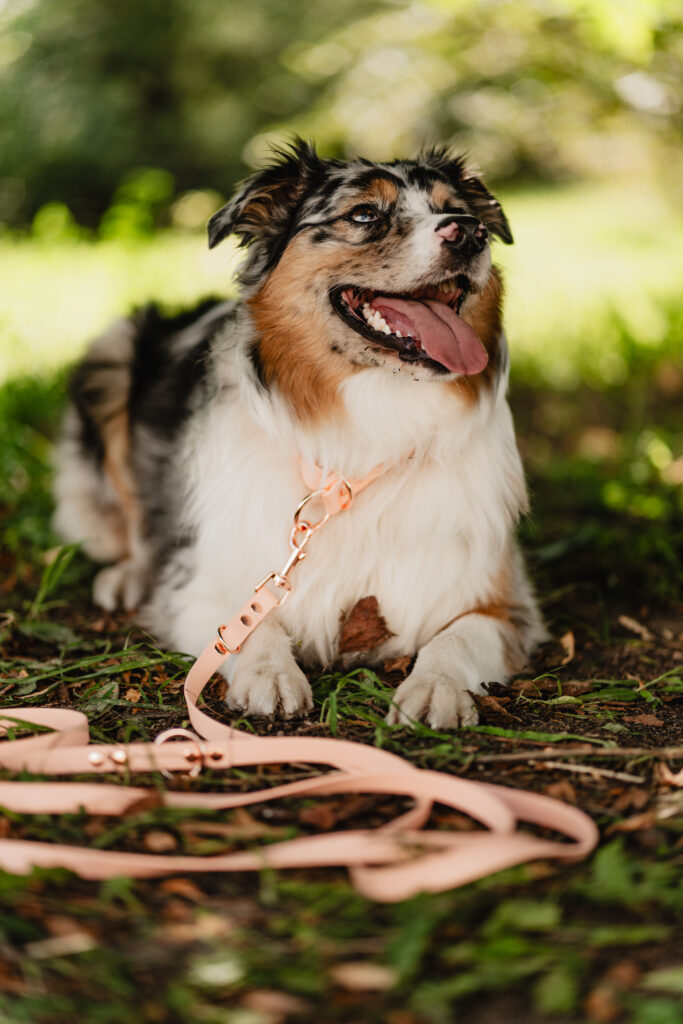 Linka treningowa BioThane® – Peach