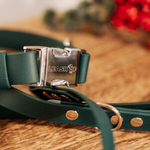 Smycz miejska BioThane® – Emerald