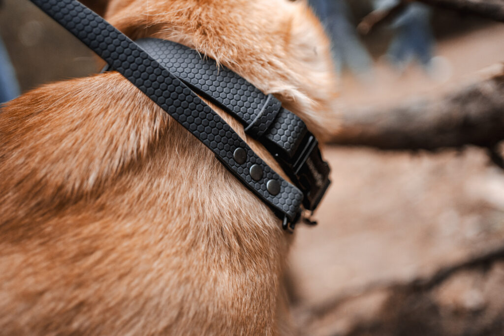 Linka treningowa HEXA – Black