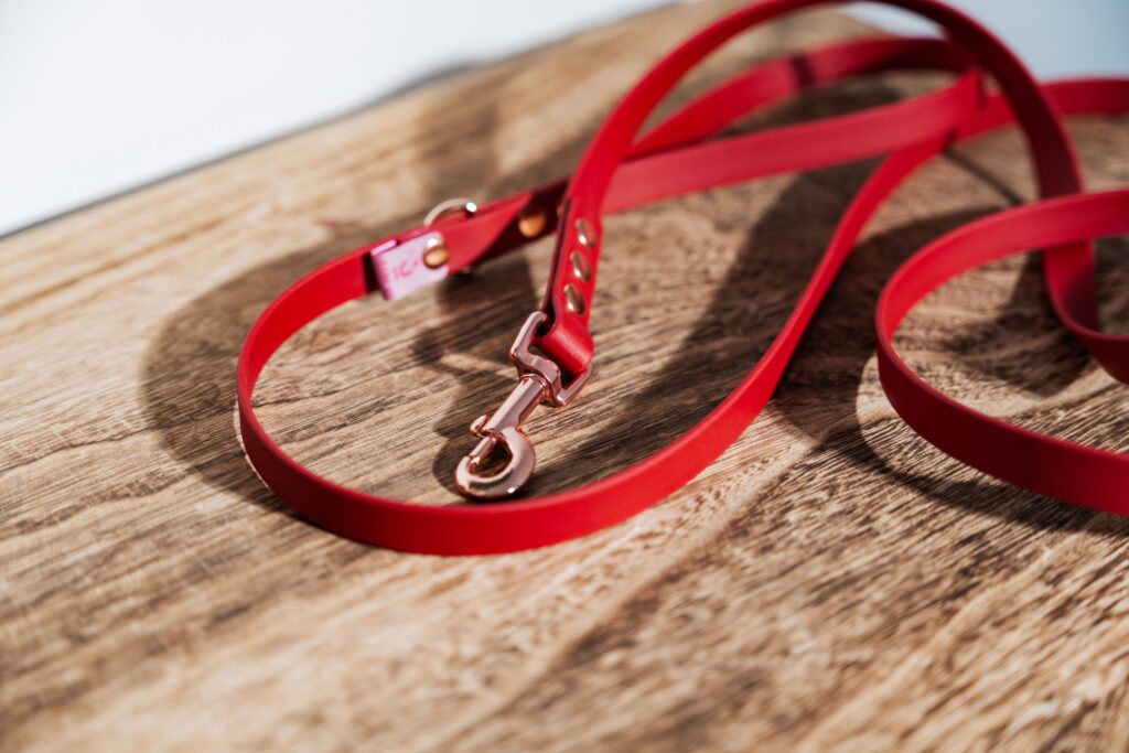 Smycz przepinana BioThane® – Ruby