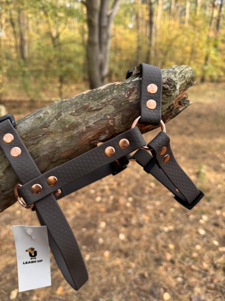 Szelki Guard HEXA – Dark Chocolate