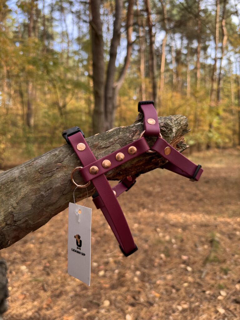 Szelki Guard BioThane® – Red Wine