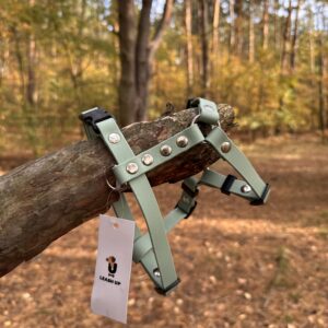 Szelki Guard BioThane® – Sage