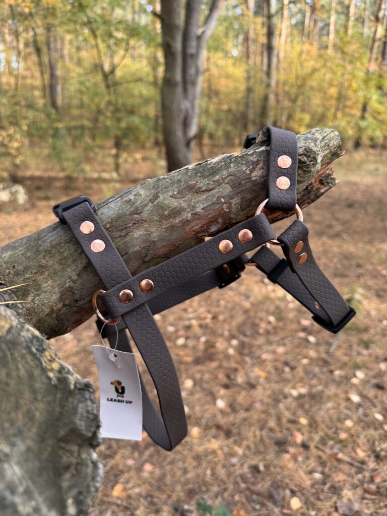 Szelki Guard HEXA – Dark Chocolate