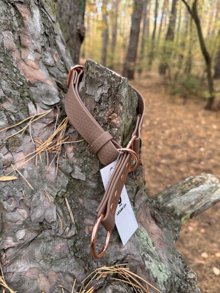 Obroża półzaciskowa HEXA – Brownie