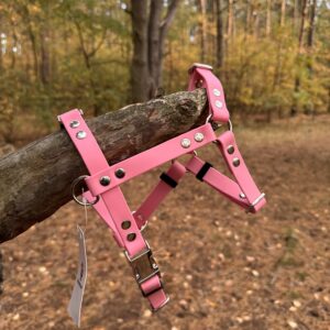 Szelki Guard BioThane® – Raspberry