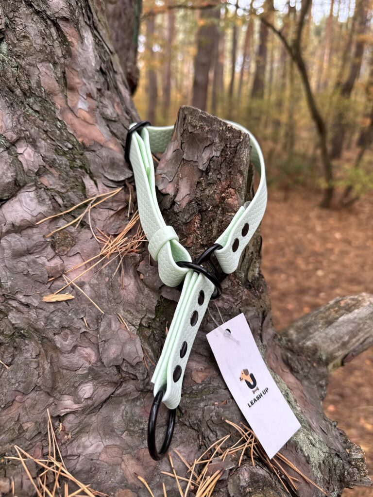Obroża półzaciskowa HEXA – Mint