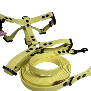 Szelki Guard HEXA – Limoncello