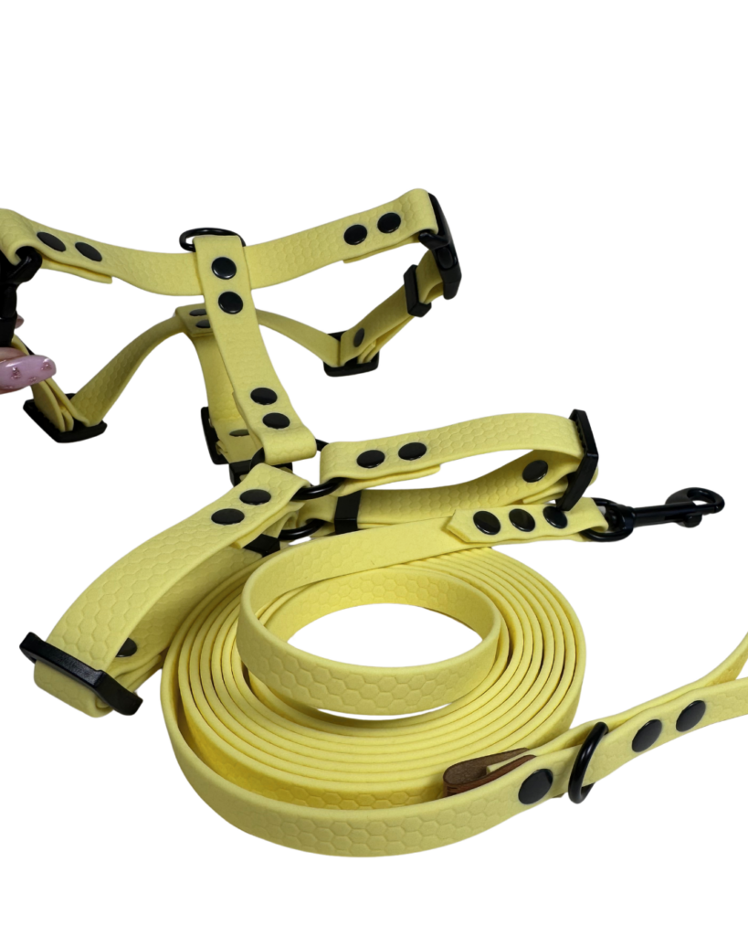 Szelki Guard HEXA – Limoncello