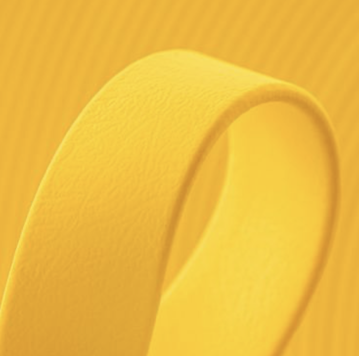 Obroża półzaciskowa BioThane® – Sunflower
