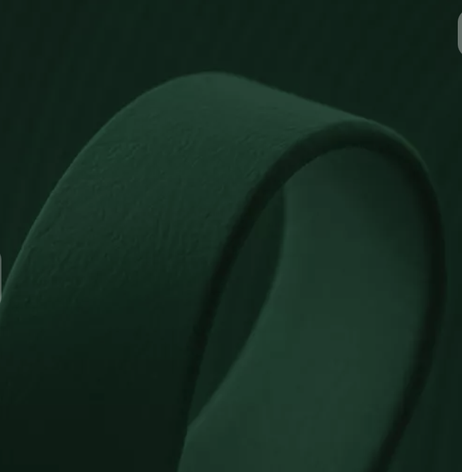 Obroża półzaciskowa BioThane® – Emerald