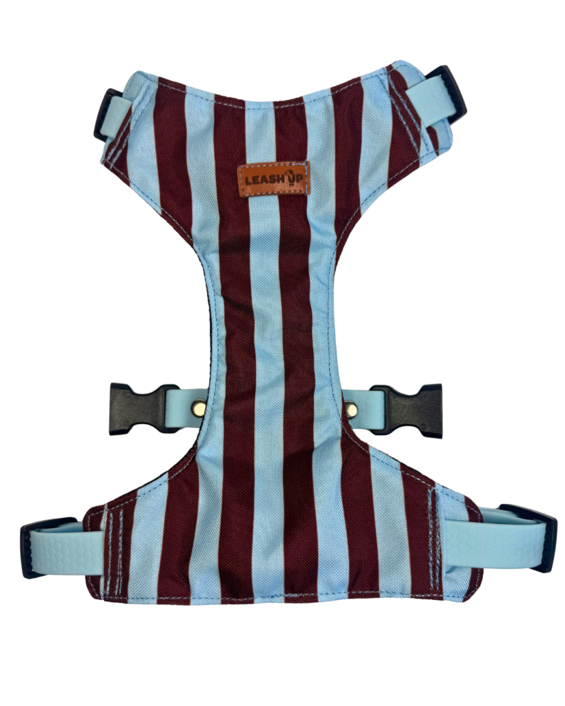 Szelki bezuciskowe Puppy Lines Blue HEXA