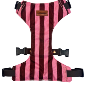 Szelki bezuciskowe Puppy Lines Pink HEXA