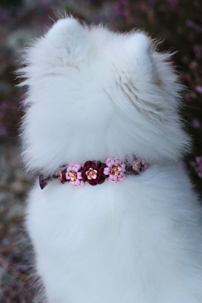 Obroża kwiatowa paracord na sprzączkę BioThane® z metalowymi kwiatkami rose gold