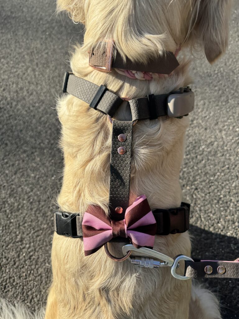 Szelki bezuciskowe Doggie Dots Blue HEXA