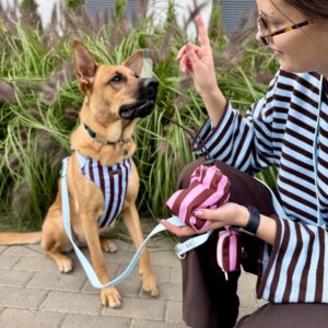 Szelki bezuciskowe Puppy Lines Blue HEXA